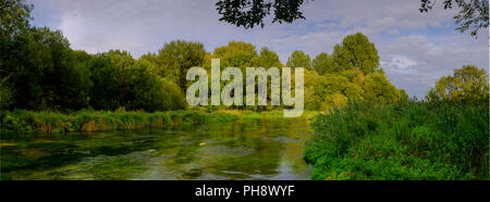 Sommer Abend goldenes Licht auf dem Fluss Itchen - voller Wasser Hahnenfuß (Ranunculus aquatilis) und eine berühmte Chalk stream Fliegenfischen am Fluss in der Nähe von Stockfoto