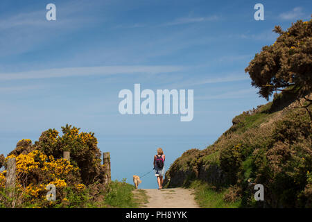 Eine Frau, die zu Fuß Ihr Hund an der Leine auf einem küstenweg in Wales. Stockfoto