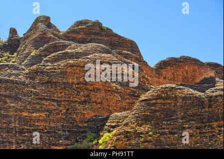 Bienenstöcke in den Bungle Bungles Nationalpark Stockfoto