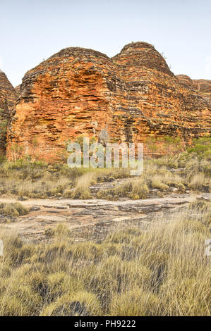 Bienenstöcke in den Bungle Bungles Nationalpark Stockfoto