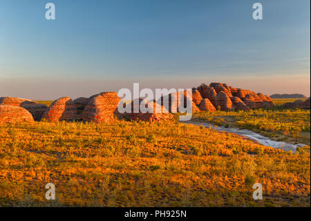 Bienenstöcke in den Bungle Bungles Nationalpark Stockfoto