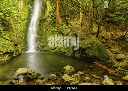 Wasserfall am Oahu Suche Stockfoto