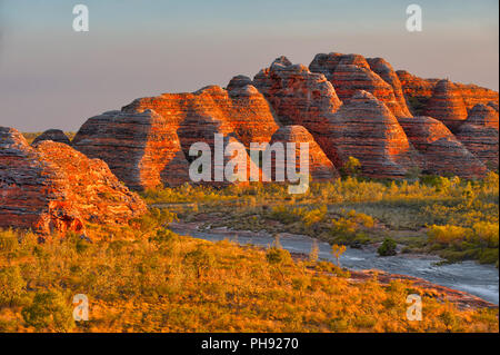 Bienenstöcke in den Bungle Bungles Nationalpark Stockfoto