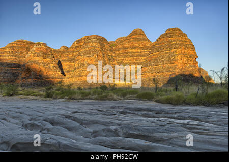 Bienenstöcke in den Bungle Bungles Nationalpark Stockfoto