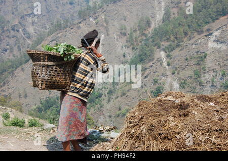 Weit westlichen Nepal Stockfoto