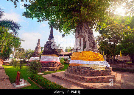 Baum deckt alte Pagoden im Wat Na Phra Men Stockfoto