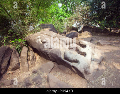 Krokodil im Tempel Wat Phu Champasak in Laos Stockfoto