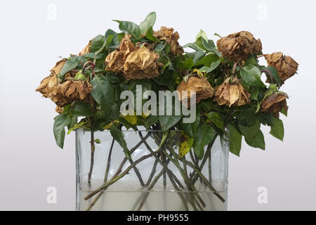 Verwelkten Blumenstrauß aus Rosen Stockfoto