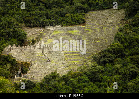 Die Inka-ruinen von Winay Wayna, einschließlich der landwirtschaftlichen Terrassen und seines Mikroklimas,, entlang der Inka Trail nach Machu Picchu. Heilige Tal, Peru Stockfoto