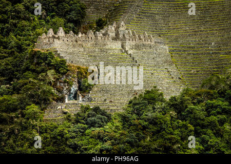 Die Inka-ruinen von Winay Wayna, einschließlich der landwirtschaftlichen Terrassen und seines Mikroklimas,, entlang der Inka Trail nach Machu Picchu. Heilige Tal, Peru Stockfoto