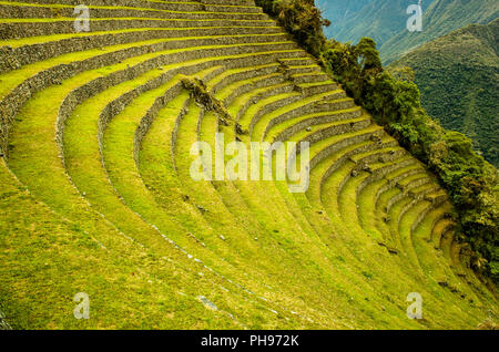 Die Inka-ruinen von Winay Wayna, einschließlich der landwirtschaftlichen Terrassen und seines Mikroklimas,, entlang der Inka Trail nach Machu Picchu. Heilige Tal, Peru Stockfoto