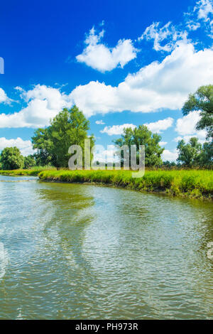 Naturpark Kopacki Rit in Slawonien, Kroatien, beliebtes Touristenziel und Vögel Reservierung Stockfoto