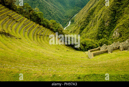 Die Inka-ruinen von Winay Wayna, einschließlich der landwirtschaftlichen Terrassen und seines Mikroklimas,, entlang der Inka Trail nach Machu Picchu. Heilige Tal, Peru Stockfoto