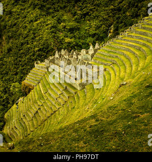 Die Inka-ruinen von Winay Wayna, einschließlich der landwirtschaftlichen Terrassen und seines Mikroklimas,, entlang der Inka Trail nach Machu Picchu. Heilige Tal, Peru Stockfoto