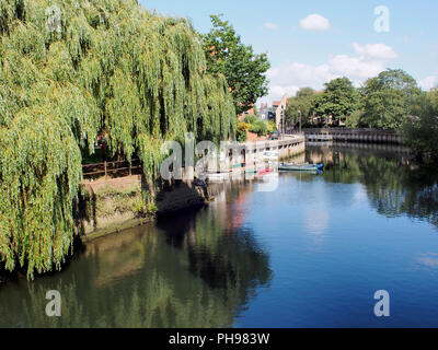 Eine friedliche Szene auf dem Fluss Wensum in Norwich, Norfolk suchen hinter St. George's Street Bridge. Stockfoto