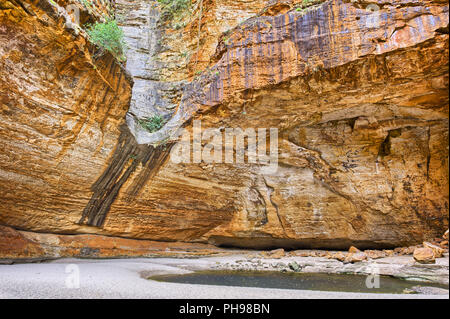 Cathedral Gorge, Bungle Bungles Nationalpark Stockfoto