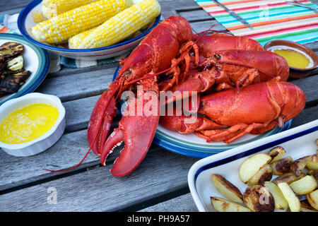 Ganze Hummer bereit für das Abendessen zu Server gedämpft Stockfoto