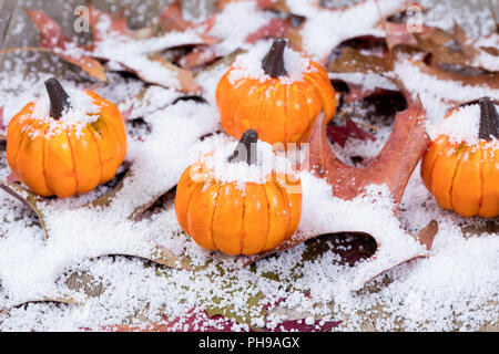 Früh Schnee mit Herbst Kürbisse und Blätter auf Holz Stockfoto