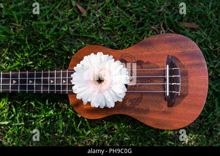 Schöne kleine Hawaiian Sopran Ukulele dekoriert mit frischem Gerbera Blumen und Gras Hintergrund, Foto bei Tageslicht ohne künstliche Beleuchtung gemacht Stockfoto