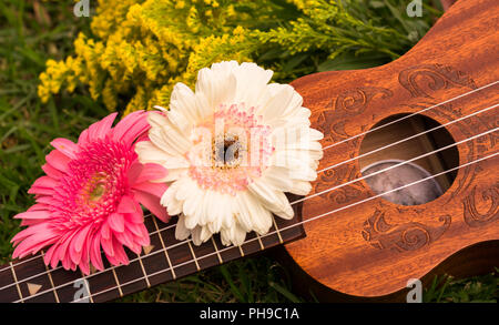 Schöne kleine Hawaiian Sopran Ukulele dekoriert mit frischem Gerbera Blumen und Gras Hintergrund, Foto bei Tageslicht ohne künstliche Beleuchtung gemacht Stockfoto