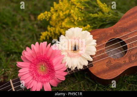 Schöne kleine Hawaiian Sopran Ukulele dekoriert mit frischem Gerbera Blumen und Gras Hintergrund, Foto bei Tageslicht ohne künstliche Beleuchtung gemacht Stockfoto