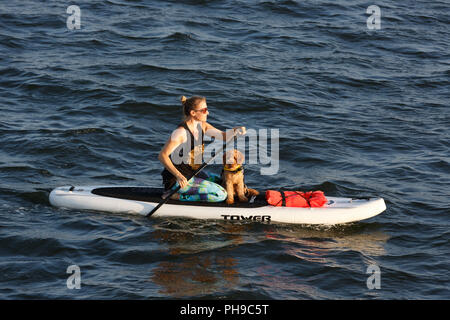 Frau und Hund auf paddle Board, Boston Harbor, Boston, Massachusetts, USA Stockfoto