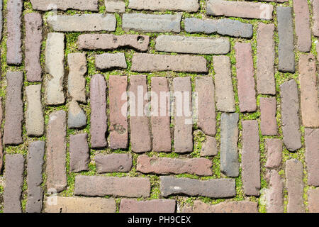 Pflasterklinker Stockfoto