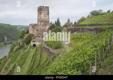 Burg Gutenfels über Kaub im Mittelrheintal Stockfoto