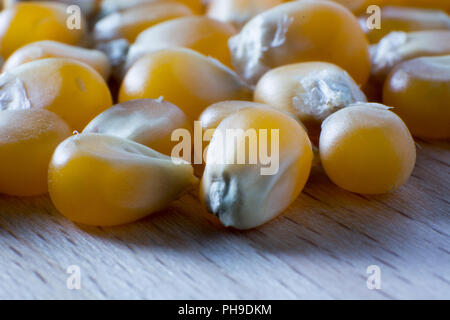 Makroaufnahme von getrockneten Maissaatgut auf hölzernen Hintergrund. Stockfoto