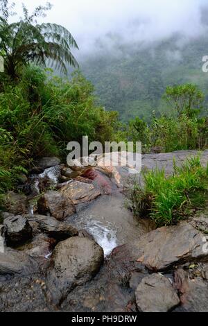Wasserfall in LA ZUNGA - Ecuador Grenze - San Ignacio - Departement Cajamarca PERU Stockfoto