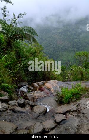 Wasserfall in LA ZUNGA - Ecuador Grenze - San Ignacio - Departement Cajamarca PERU Stockfoto