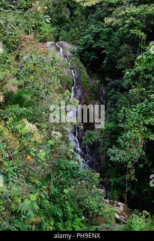 Wasserfall in LA ZUNGA - Ecuador Grenze - San Ignacio - Departement Cajamarca PERU Stockfoto