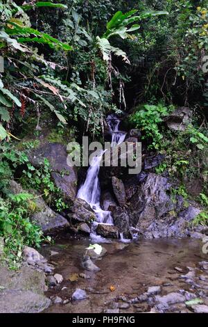 Wasserfall in LA ZUNGA - Ecuador Grenze - San Ignacio - Departement Cajamarca PERU Stockfoto