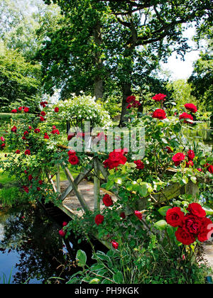 Teil des atemberaubenden Gärten durch den späten John Hedgecoe an seinem Haus erstellt, Oxnead Hall, Norfolk jetzt ein beliebter Ort für Hochzeiten. Stockfoto