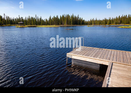 Schwimmen Schwimmen floss Dock, auf einem See in Norwegen Stockfoto