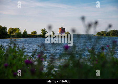 Oxford Island Juli 2018 Stockfoto