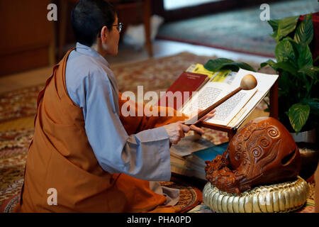 Mönch im buddhistischen Zeremonie, spielen auf einem Holz- Fisch (Schlaginstrument), Chua Tu einen buddhistischen Tempel, Haute Savoie, Frankreich, Europa Stockfoto