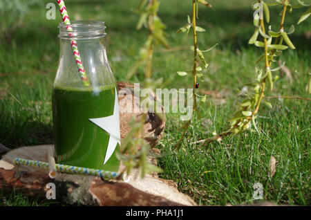 Grüne Smoothie mit Spinat, Apple und coconat (außen) Stockfoto