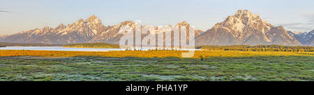 Die tetons von Jackson Lake Lodge Stockfoto