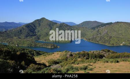 Blick von der Queen Charlotte Track, Neuseeland Stockfoto