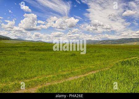 Endlose Himmel, Montana Stockfoto