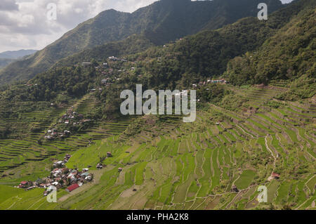 Reis Terrassen um Banaue Insel Luzon, Philippinen. Stockfoto