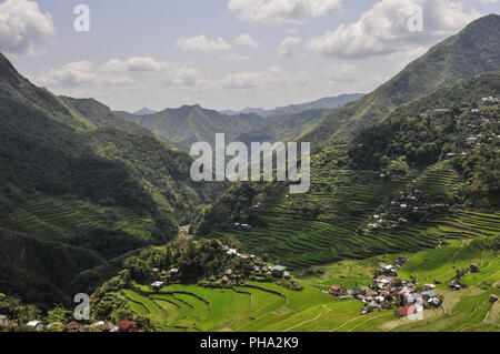 Reis Terrassen um Banaue Insel Luzon, Philippinen. Stockfoto