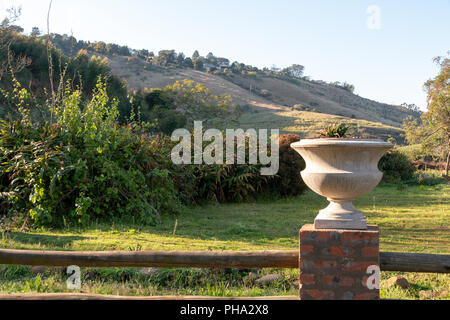 Eine Nahaufnahme eines Ton Blumentopf im Garten mit der Landschaft in den Boden zurück Stockfoto
