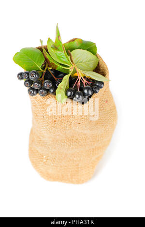 Aronia Beeren in der Tasche Stockfoto