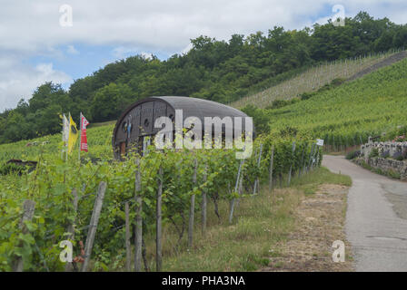 Weinfass in Ingelfingen, Baden-Württemberg, Deutschland Stockfoto