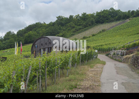 Weinfass in Ingelfingen, Baden-Württemberg, Deutschland Stockfoto