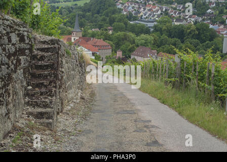 Weinberge in Ingelfingen, Baden-Württemberg, Deutschland Stockfoto