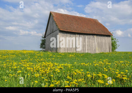 Das Erwachen des Frühlings in der Nähe Bibersfeld, Deutschland Stockfoto