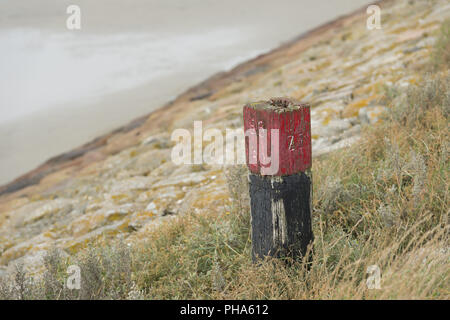 Rote Poller auf dem Deich Stockfoto